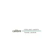 Feeling Happy - 2024 Remaster by Calibre cover art
