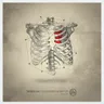 Confined Heart cover art
