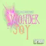 Wonderjoy cover art