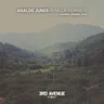 Punilla - Mariner + Domingo Remix cover art