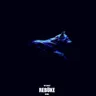 The Chase - Rebūke Remix by Rebuke cover art