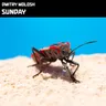 Sunday cover art