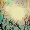 Shaded Moon by Trentemøller cover art