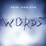 Words (For Love) - Curves Headache Mix by Paul van Dyk cover art
