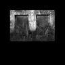 Space Between cover art