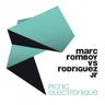 Picnic Electronique - Original Mix cover art