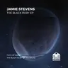 The Black Ruby of Voldesad cover art