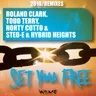 Set You Free - Sted-E & Hybrid Heights Rework by Todd Terry cover art