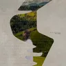 Molfar cover art