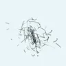 Kuiper Part 1 cover art