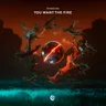 You Want The Fire cover art