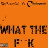 What the F**k - Kim Fai Remix by Fatboy Slim cover art