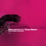 Seleccion Natural Parte 4 - Christian Wünsch Remix cover art