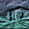 Unfolded Truth - Daniel Hokum Remix cover art