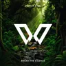 Break the Silence - Extended Mix cover art