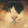 Chloe's Theme cover art