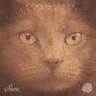 Everybody by Dennis Cruz cover art