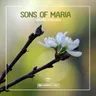 Break Through by Sons Of Maria cover art