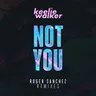 Not You (Roger Sanchez Mix Edit) by Roger Sanchez cover art