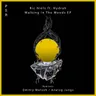 Walking In The Woods - Analog Jungs Remix cover art