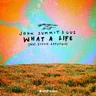 What A Life (OMRI. remix) cover art