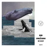MT. DS cover art