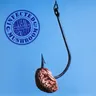Converting Vegetarians album cover