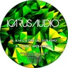 Dub King by A.M.C cover art