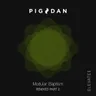 Modular Baptism - Anna V. Remix cover art