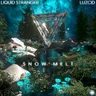 Snow Melt cover art