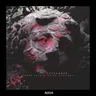 Stranger by Roman Adam cover art