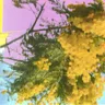 Into Dust (Still Falling) by Four Tet cover art