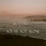 You're Not Alone - &friends Remix by &friends cover art