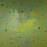 Parallel 6 by Four Tet cover art