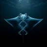 Manta cover art