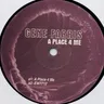 A Place 4 Me by Gene Farris cover art