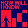 How Will Know - Extended Mix by Kevin McKay cover art