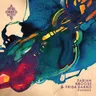 Phoenix - Oliver Koletzki Remix by Frida Darko cover art
