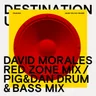 Make You Go Higher - David Morales Red Zone mix by Pig&Dan cover art