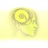 Mind Storage (2025 Remastered) album cover