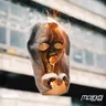 Don't Trust The Human cover art
