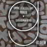 Priroda - Greg Ochman Remix cover art