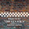 The Lunatics - Solomun Remix cover art