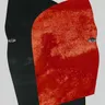 Hidden by Rival Consoles cover art