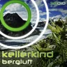 Bergluft cover art