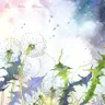 Vdol Po Rechenke cover art