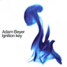 Ignition Key by Adam Beyer cover art