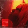 Fallen Leaf (Extended) by Vintage Culture cover art