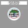 Love Cactus - Stribors And Contes Instrumental Mix cover art