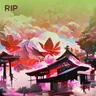 Rip cover art